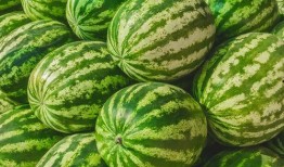 网红的吃瓜视频都在哪里